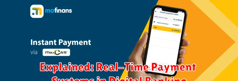 Explained: Real-Time Payment Systems in Digital Banking